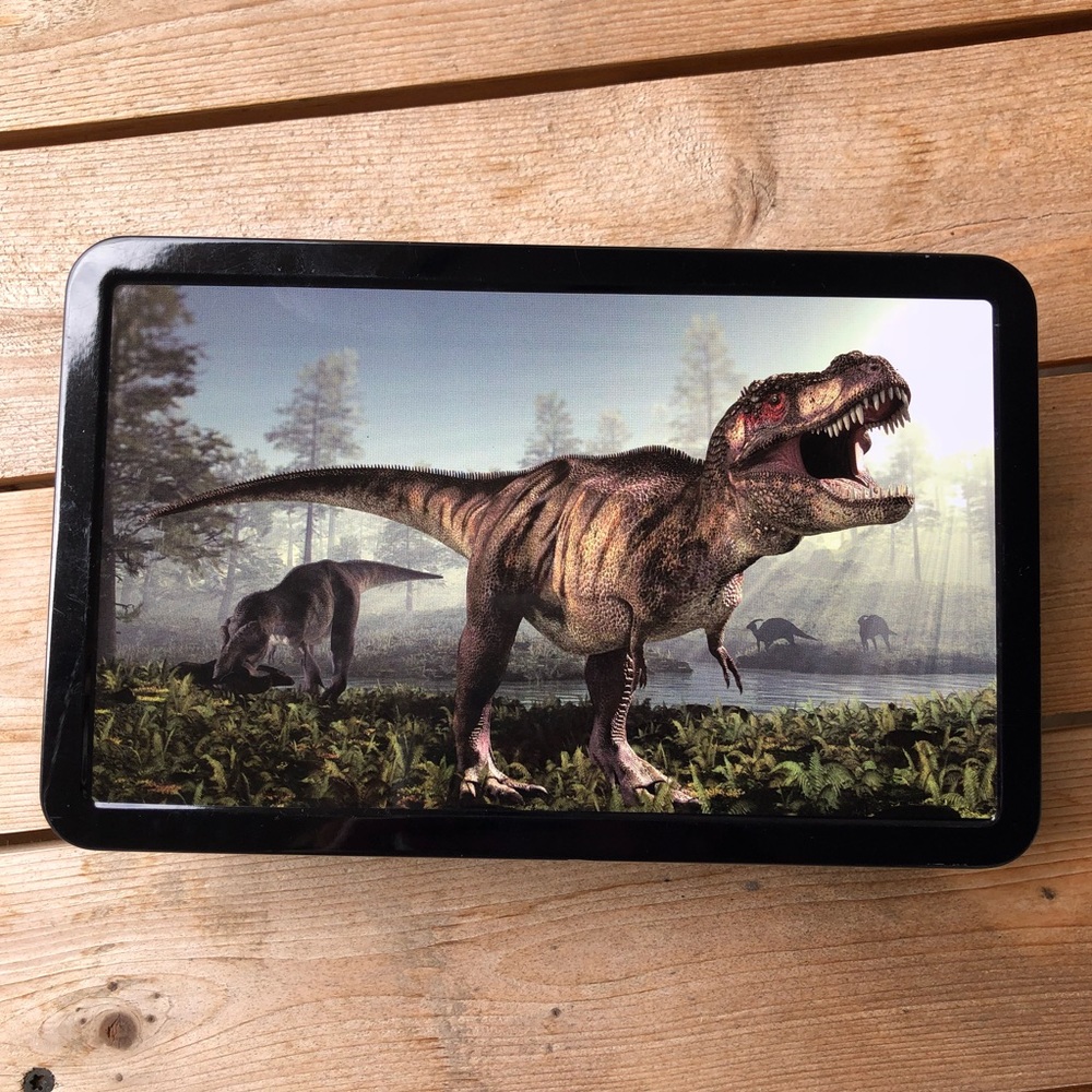 Metal Dinosaur Lunchbox